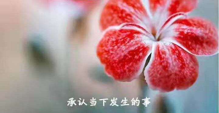 两性关系|爱情是寻找完整自我的过程