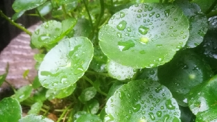 拿回自己的力量