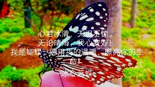 【分享】亲爱的，你不必处处和别人一样