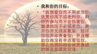萨提亚求生存婚姻模式