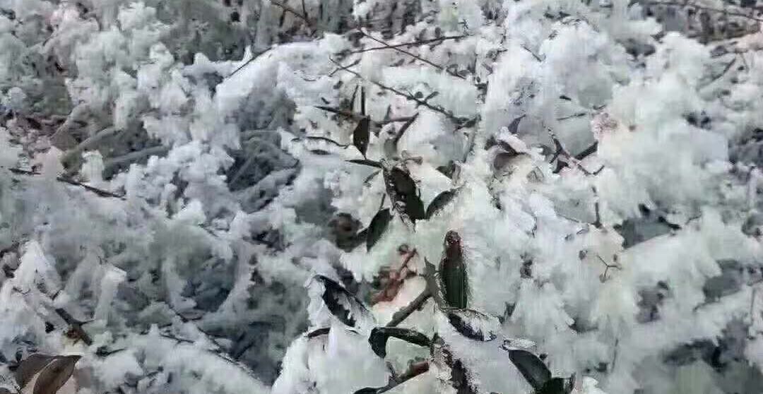 不要老说，别人“应该”理解您