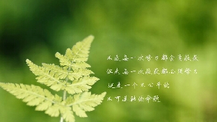一个占着老公、爸爸的位置，却不尽其职的人，谈何伟大？